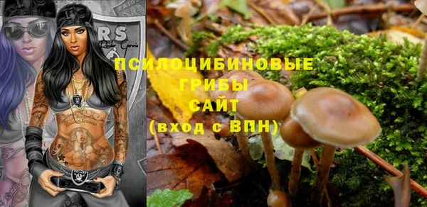 apvp Алексеевка