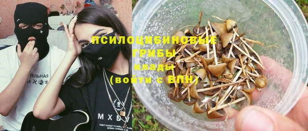 бутират Алексин